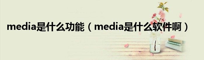 media是什么功能（media是什么软件啊）