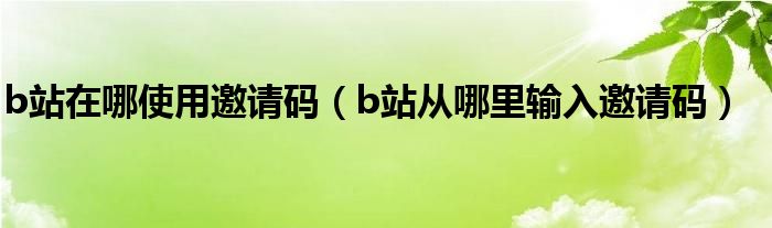 b站在哪使用邀请码（b站从哪里输入邀请码）