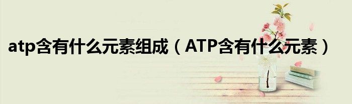 atp含有什么元素组成（ATP含有什么元素）