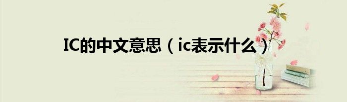 IC的中文意思（ic表示什么）