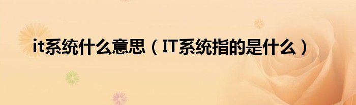 it系统什么意思（IT系统指的是什么）