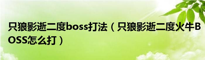 只狼影逝二度boss打法（只狼影逝二度火牛BOSS怎么打）