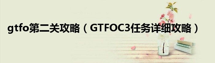 gtfo第二关攻略（GTFOC3任务详细攻略）