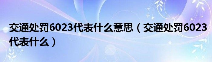 交通处罚6023代表什么意思（交通处罚6023代表什么）