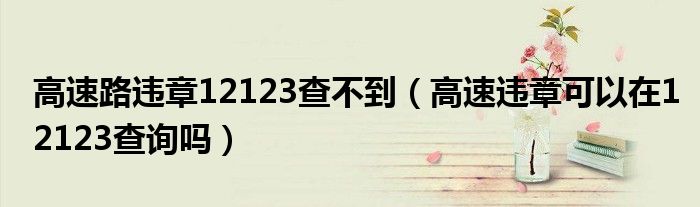 高速路违章12123查不到（高速违章可以在12123查询吗）