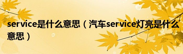 service是什么意思（汽车service灯亮是什么意思）