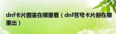 dnf卡片图鉴在哪里看（dnf苍穹卡片册在哪里出）