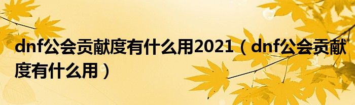 dnf公会贡献度有什么用2021（dnf公会贡献度有什么用）