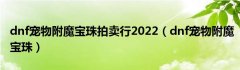 dnf宠物附魔宝珠拍卖行2022（dnf宠物附魔宝珠）