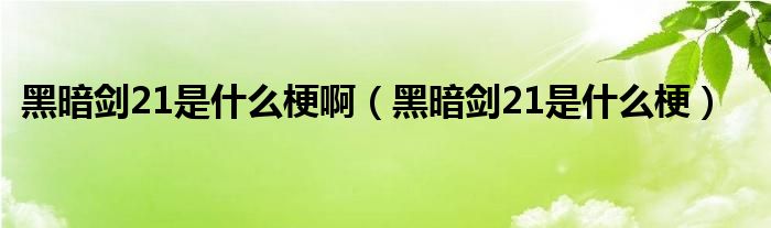 黑暗剑21是什么梗啊（黑暗剑21是什么梗）