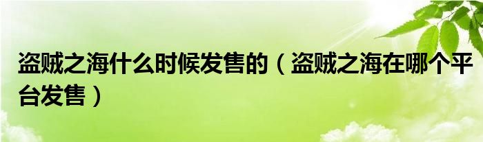 盗贼之海什么时候发售的（盗贼之海在哪个平台发售）