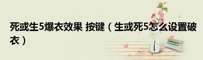 死或生5爆衣效果 按键（生或死5怎么设置破衣）