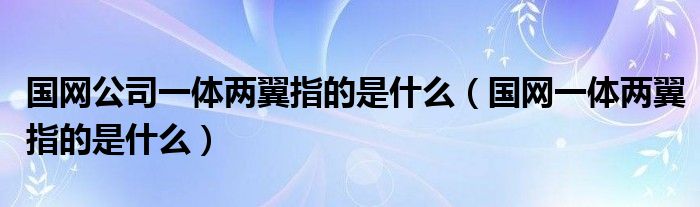 国网公司一体两翼指的是什么（国网一体两翼指的是什么）