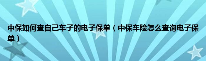 中保如何查自己车子的电子保单（中保车险怎么查询电子保单）