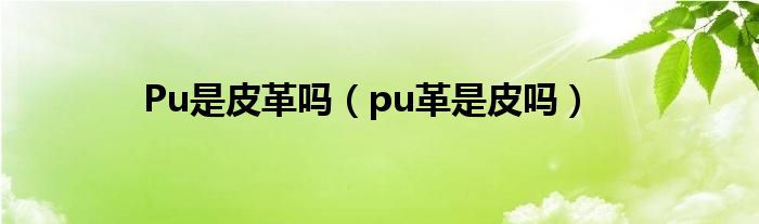 Pu是皮革吗（pu革是皮吗）