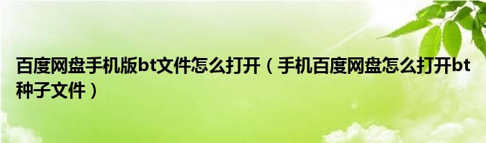 百度网盘手机版bt文件怎么打开（手机百度网盘怎么打开bt种子文件）