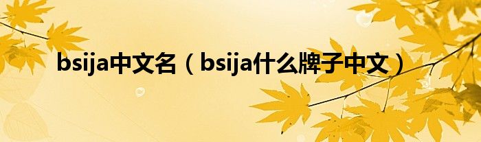 bsija中文名（bsija什么牌子中文）