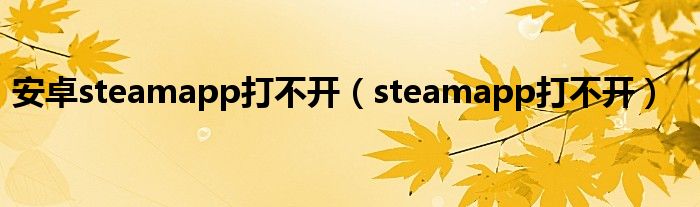 安卓steamapp打不开（steamapp打不开）