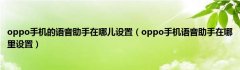 oppo手机的语音助手在哪儿设置（oppo手机语音助手在哪里设置）