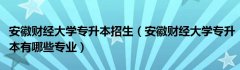 安徽财经大学专升本招生（安徽财经大学专升本有哪些专业）