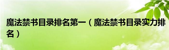 魔法禁书目录排名第一（魔法禁书目录实力排名）