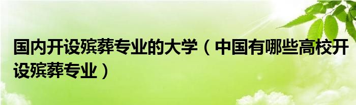 国内开设殡葬专业的大学（中国有哪些高校开设殡葬专业）