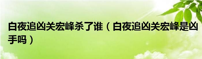 白夜追凶关宏峰杀了谁（白夜追凶关宏峰是凶手吗）