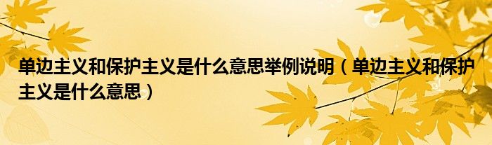 单边主义和保护主义是什么意思举例说明（单边主义和保护主义是什么意思）