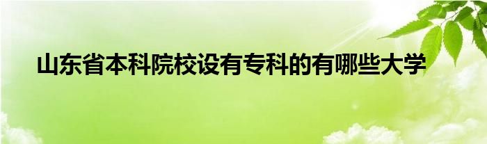 山东省本科院校设有专科的有哪些大学