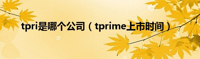 tpri是哪个公司（tprime上市时间）