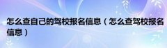 怎么查自己的驾校报名信息（怎么查驾校报名信息）