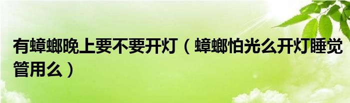 有蟑螂晚上要不要开灯（蟑螂怕光么开灯睡觉管用么）