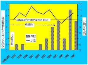 赤道是什么意思