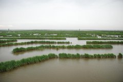 保护湿地的意义有什么(保护湿地的意义是什么)