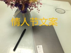 我的地盘你做主幽默句子 (“我的地盘你做主”情人节文案写作方法分享)